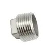 Les garnitures de tuyau vissées d'acier inoxydable ont fileté la prise carrée de tête de garnitures de tuyau, 150PSI, SS304 SS316
