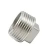 Les garnitures de tuyau vissées d'acier inoxydable ont fileté la prise carrée de tête de garnitures de tuyau, 150PSI, SS304 SS316