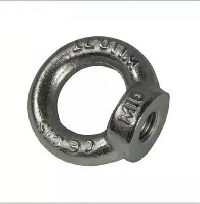 JIS B1168 a galvanisé les écrous de levage d'oeil de DIN582 SS304