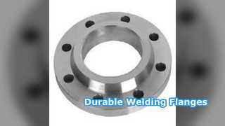 Brides à souder SS304 SS316 PN6